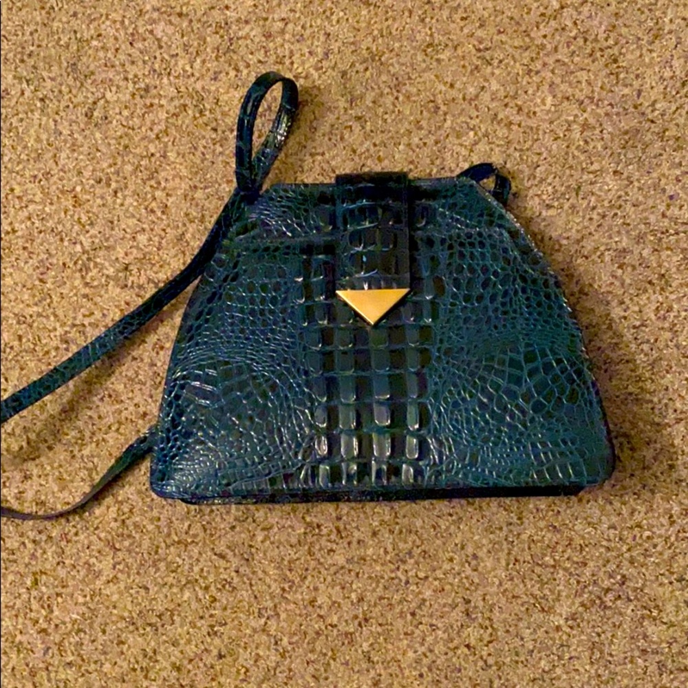 Vintage Alligator Bag